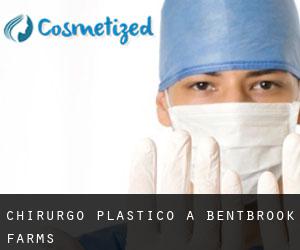 Chirurgo Plastico a Bentbrook Farms