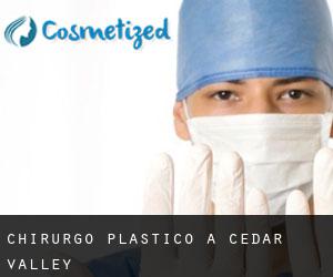 Chirurgo Plastico a Cedar Valley