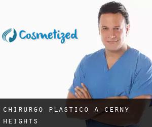 Chirurgo Plastico a Cerny Heights