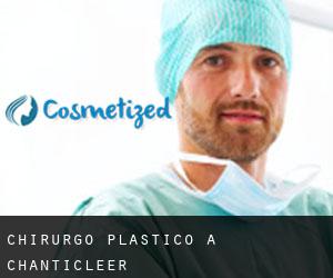 Chirurgo Plastico a Chanticleer