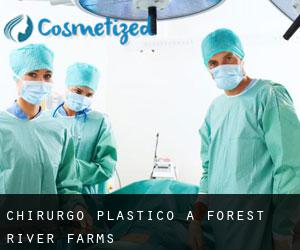 Chirurgo Plastico a Forest River Farms
