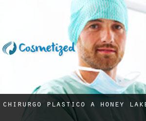 Chirurgo Plastico a Honey Lake