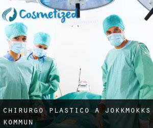 Chirurgo Plastico a Jokkmokks Kommun
