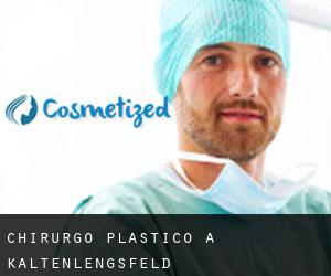 Chirurgo Plastico a Kaltenlengsfeld