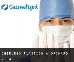 Chirurgo Plastico a Orchard View