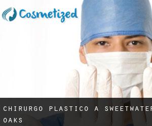 Chirurgo Plastico a Sweetwater Oaks