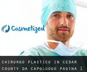 Chirurgo Plastico in Cedar County da capoluogo - pagina 1