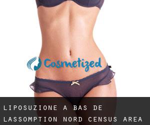 Liposuzione a Bas-de-L'Assomption-Nord (census area)