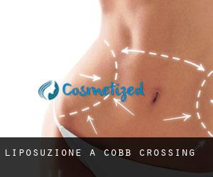 Liposuzione a Cobb Crossing