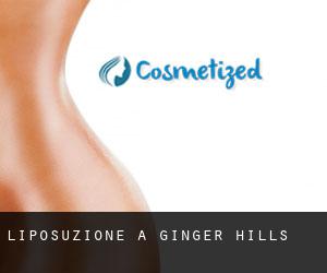 Liposuzione a Ginger Hills