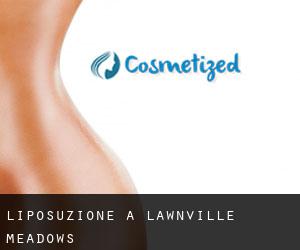 Liposuzione a Lawnville Meadows