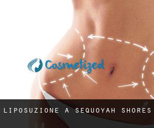 Liposuzione a Sequoyah Shores