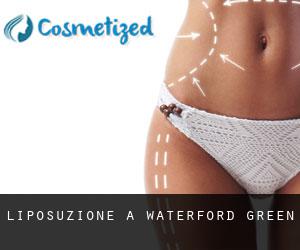 Liposuzione a Waterford Green