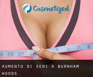 Aumento di seni a Burnham Woods