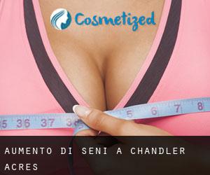 Aumento di seni a Chandler Acres