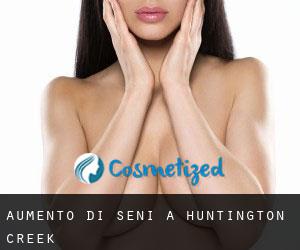 Aumento di seni a Huntington Creek