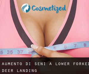 Aumento di seni a Lower Forked Deer Landing