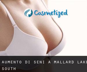 Aumento di seni a Mallard Lake South