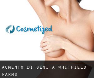 Aumento di seni a Whitfield Farms