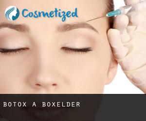 Botox a Boxelder