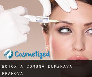 Botox a Comuna Dumbrava (Prahova)