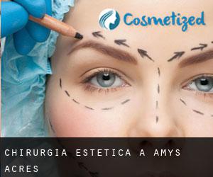 Chirurgia estetica a Amys Acres