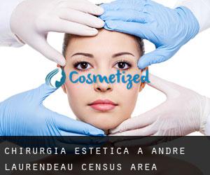 Chirurgia estetica a André-Laurendeau (census area)