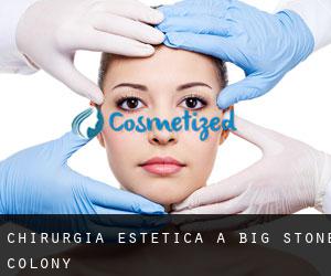 Chirurgia estetica a Big Stone Colony
