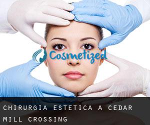 Chirurgia estetica a Cedar Mill Crossing