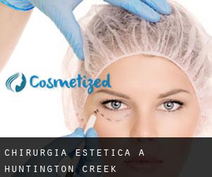 Chirurgia estetica a Huntington Creek