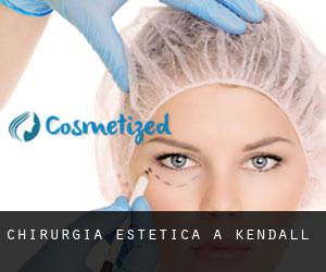 Chirurgia estetica a Kendall