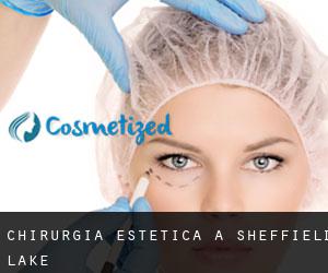 Chirurgia estetica a Sheffield Lake