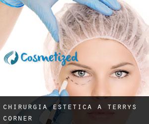 Chirurgia estetica a Terrys Corner