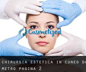 Chirurgia estetica in Cuneo da metro - pagina 2
