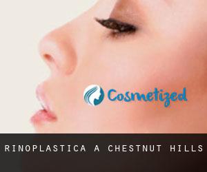 Rinoplastica a Chestnut Hills