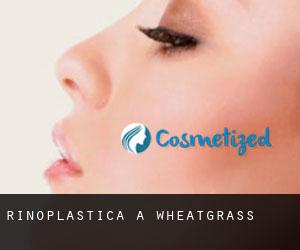 Rinoplastica a Wheatgrass