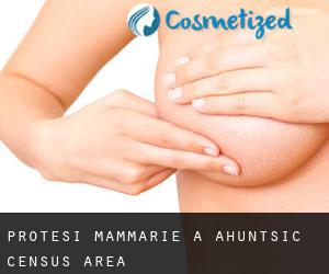 Protesi mammarie a Ahuntsic (census area)