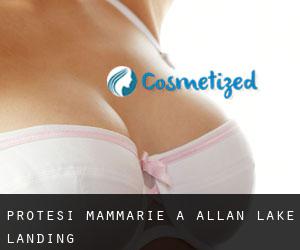 Protesi mammarie a Allan Lake Landing