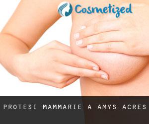 Protesi mammarie a Amys Acres
