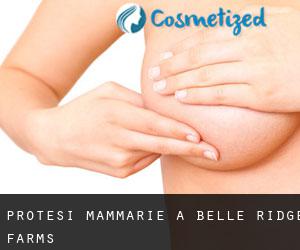 Protesi mammarie a Belle Ridge Farms