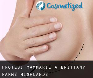 Protesi mammarie a Brittany Farms-Highlands