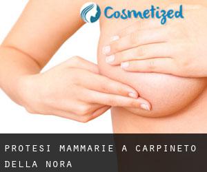 Protesi mammarie a Carpineto della Nora