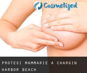 Protesi mammarie a Chargin Harbor Beach