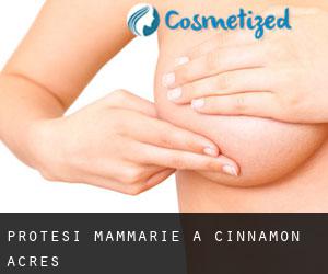 Protesi mammarie a Cinnamon Acres