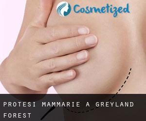 Protesi mammarie a Greyland Forest