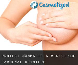 Protesi mammarie a Municipio Cardenal Quintero