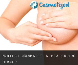 Protesi mammarie a Pea Green Corner