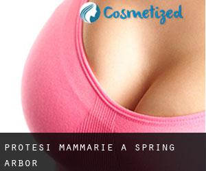 Protesi mammarie a Spring Arbor