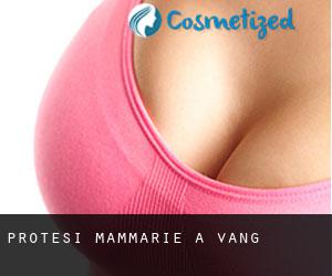 Protesi mammarie a Vang