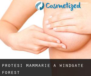 Protesi mammarie a Windgate Forest